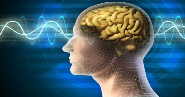 মস্তিষ্ক যখন রাউটার