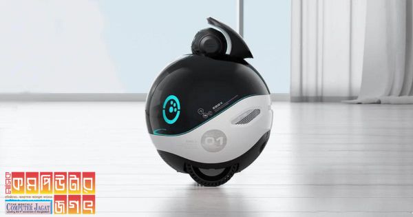 ঘুরে ঘুরে ঘর পাহারা দেবে এই রোবট