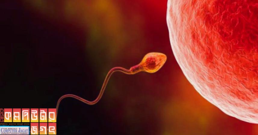 এআই পুরুষের বন্ধ্যাত্ব সমস্যার সমাধান করছে