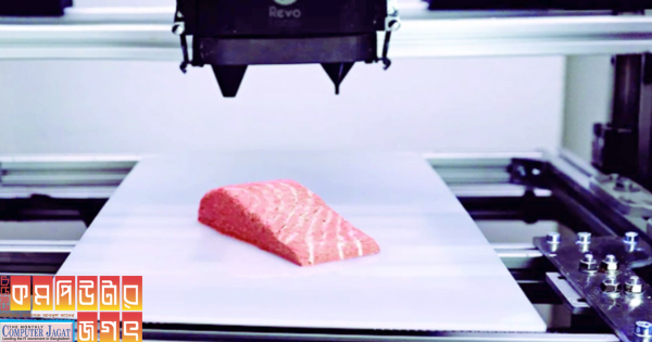 থ্রিডি প্রিন্টেড স্যামন মাছ বাজারে আসছে