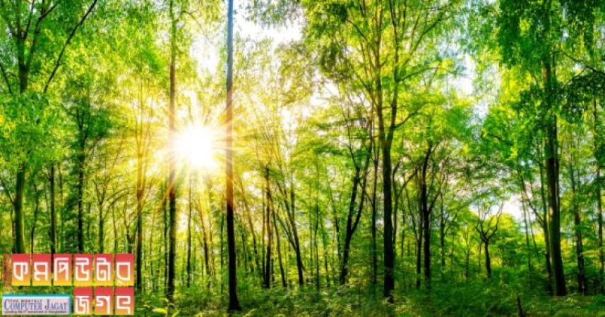 এখন গাছপালা কি মানুষের কথাও শুনবে