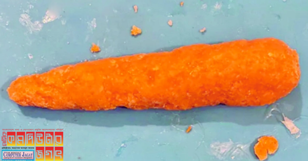 দুই কাতার শিক্ষার্থী গাজর প্রিন্ট করলেন