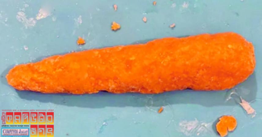 দুই কাতার শিক্ষার্থী গাজর প্রিন্ট করলেন