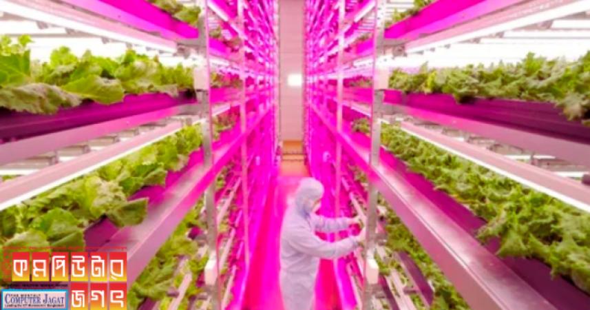 এআই ভার্টিক্যাল ফার্মের পরিবেশ নিয়ন্ত্রণ করছে