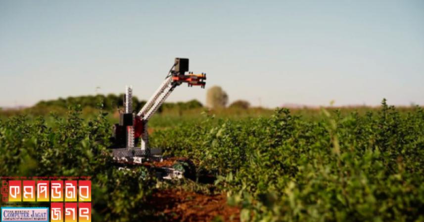 ‘মোর্শিদা’ গাছের ছবি দেখে রোগ বলবে