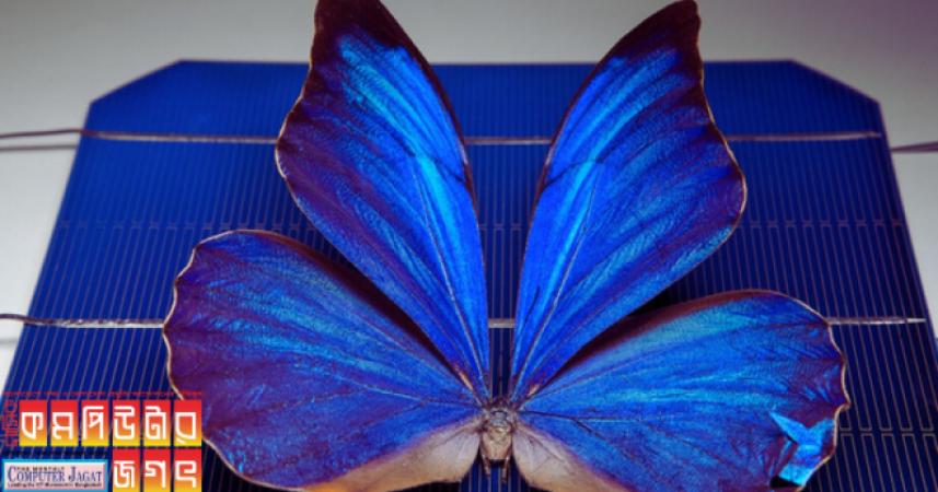প্রজাপতির ডানার নকশার অনুকরণে ভাঁজযোগ্য ইলেকট্রনিকস যন্ত্র তৈরি হচ্ছে
